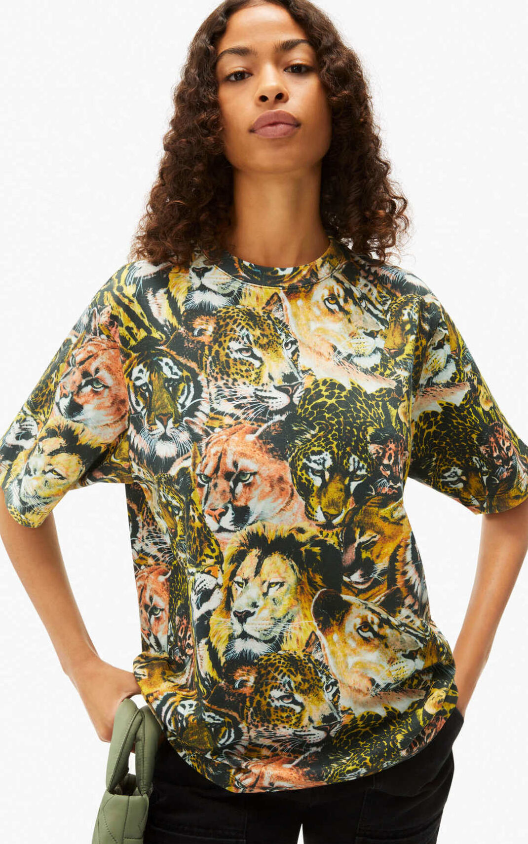 Camiseta Kenzo Wildtigers oversize Masculino - Multicoloridas Multicoloridas | 164SBNZDG